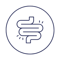 Auxilia na Digestão